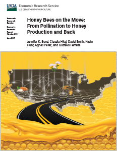 This is the cover image of the Honey Bees on the Move report.